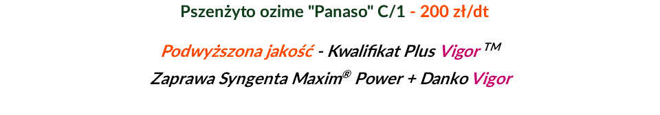  Pszenżyto ozime "Panaso" C/1 - 200 zł/dt Podwyższona jakość - Kwalifikat Plus Vigor TM Zaprawa Syngenta Maxim® Power + Danko Vigor 