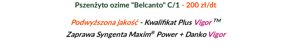 Pszenżyto ozime "Belcanto" C/1 - 200 zł/dt Podwyższona jakość - Kwalifikat Plus Vigor TM Zaprawa Syngenta Maxim® Power + Danko Vigor 