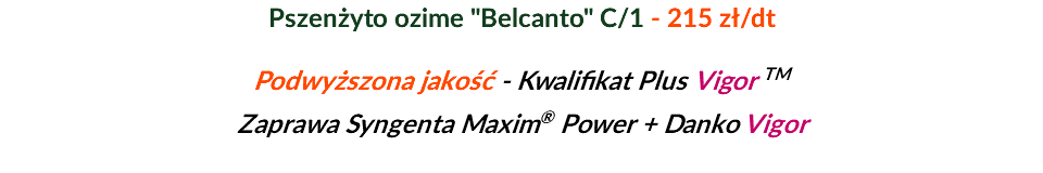 Pszenżyto ozime "Belcanto" C/1 - 215 zł/dt Podwyższona jakość - Kwalifikat Plus Vigor TM Zaprawa Syngenta Maxim® Power + Danko Vigor 
