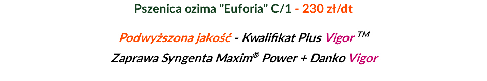 Pszenica ozima "Euforia" C/1 - 230 zł/dt Podwyższona jakość - Kwalifikat Plus Vigor TM Zaprawa Syngenta Maxim® Power + Danko Vigor 